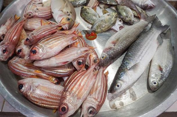农民海鲜市场的新鲜鱼