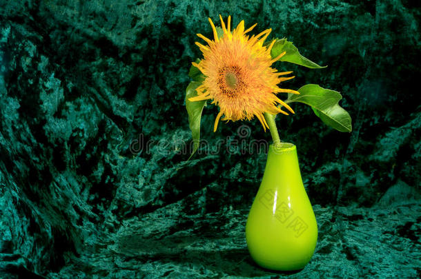 <strong>花卉图片</strong>装饰向日葵在花瓶在绿色的背景。