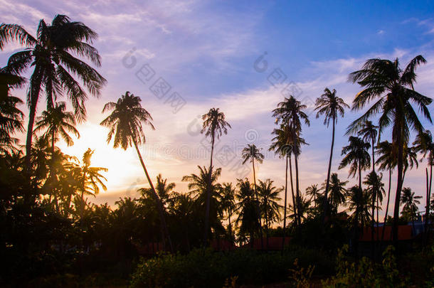 美丽的日落在越南海之上，梅内，亚洲
