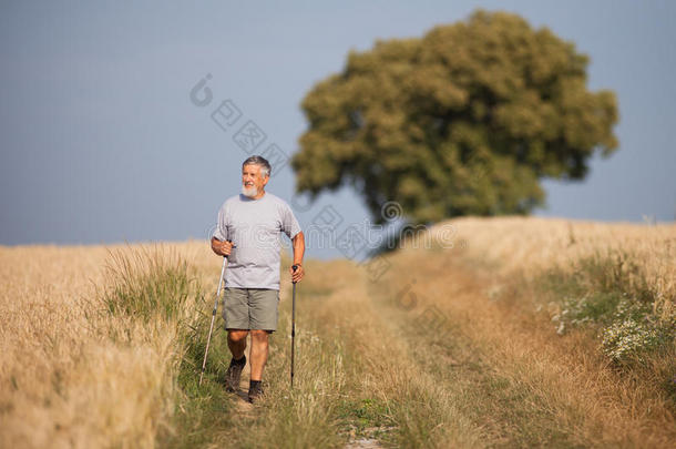 活跃的英俊的老人<strong>北欧漫步</strong>在户外