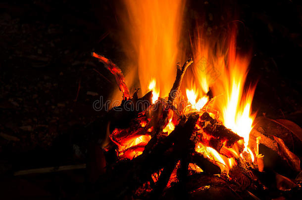 篝火在森林的夜营里燃烧着木柴。 篝火的火焰在冬天温暖。
