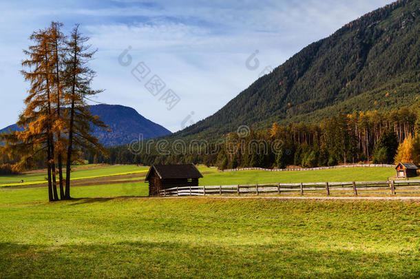 米明格高原秋季乡村风光，奥地利景观，奥地利，欧洲，蒂罗尔