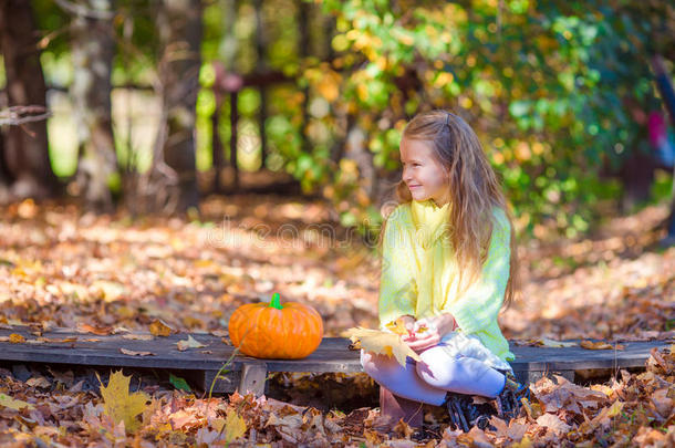 可爱的小女孩带着南瓜在美丽的秋天的万圣节户外