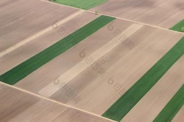 空气中的田野。 田野空中照片。 绿色田野的航空摄影。 绿色田野鸟瞰。