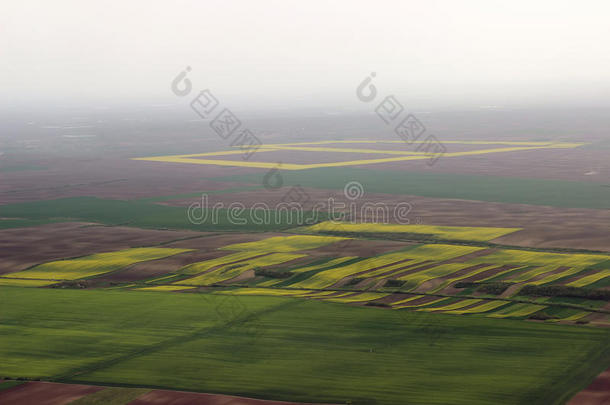 空气中的田野。 田野空中照片。 绿色田野的航空摄影。 绿色田野鸟瞰。