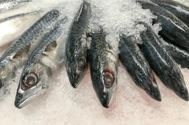 新鲜的鱼在冰上出售<strong>海鲜</strong>