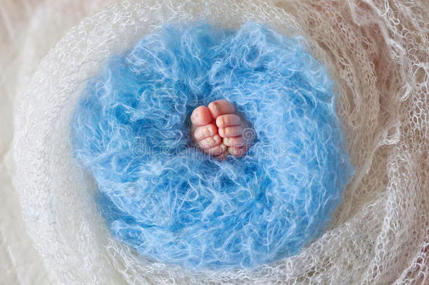 针织格子新出生婴儿脚的特写图片