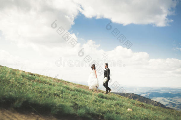 华丽的新娘和时尚的新郎在阳光明媚的风景，婚礼夫妇，豪华的仪式山与惊人的景观