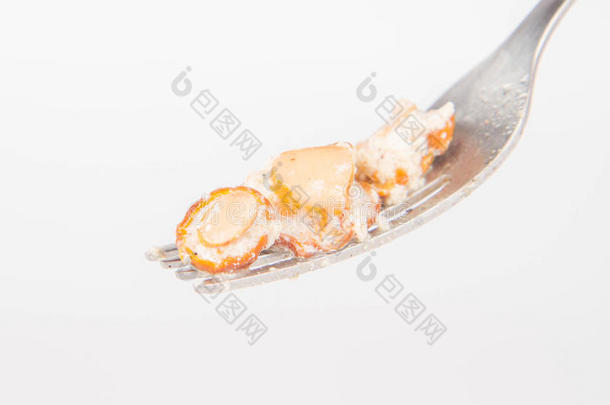 开胃菜背景罗勒外眦赘香菇