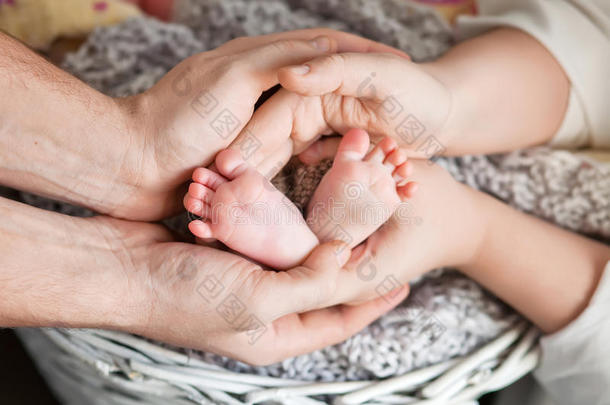 婴儿的脚在父母手中。 小新生婴儿的脚在父母身上