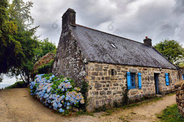 法国布列塔尼一个小村庄里的花