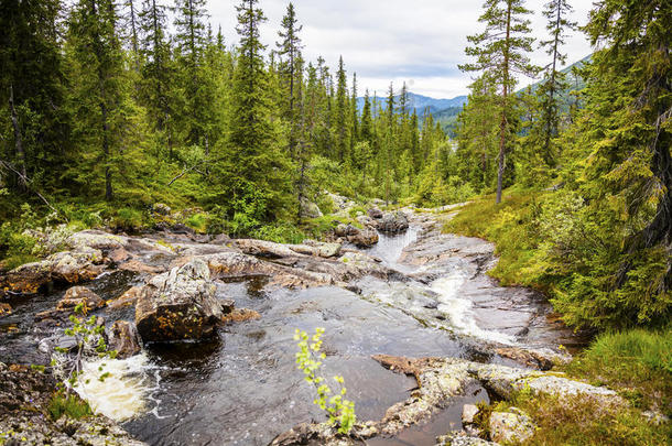 挪威美丽的山脉和林地中的小溪