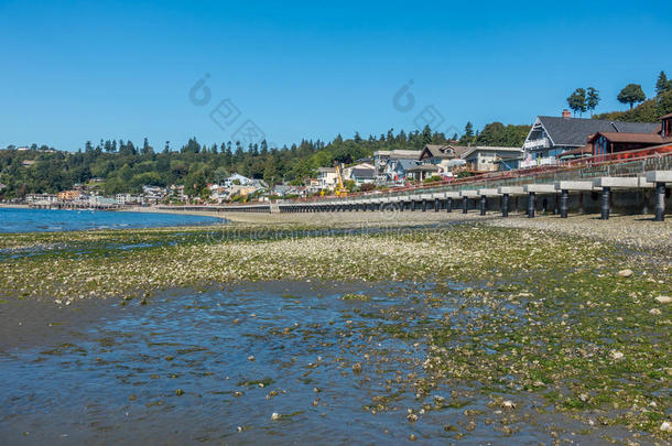 海滩海岸西北海洋太平洋