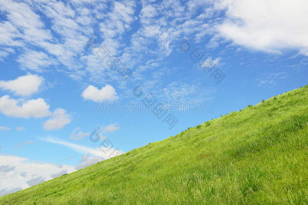 绿色的田野和蓝天上有淡淡的云彩