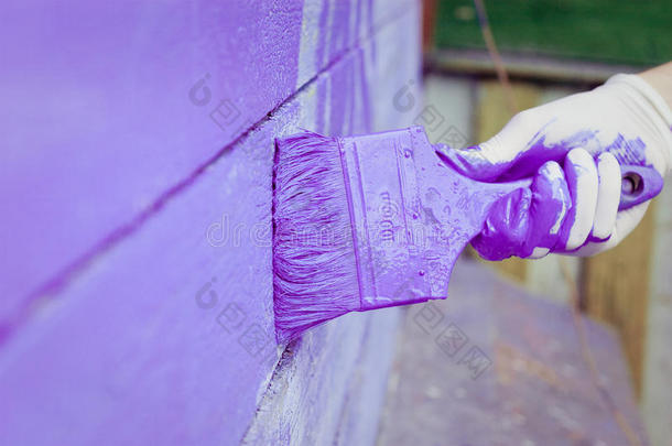 手绘紫罗兰木墙