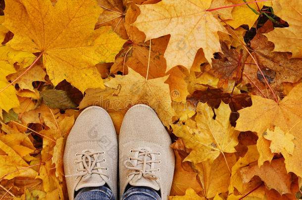 脚踩在秋天的叶子上