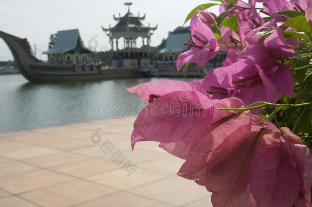 文莱礼仪船作为美丽花朵的背景