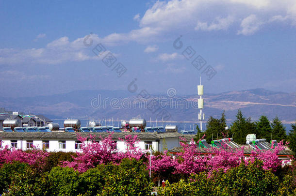 大理大学的坎古山风景