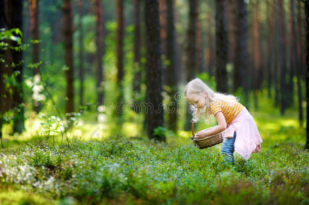 可爱的小女孩在森林里摘狐狸莓