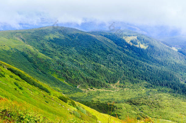 明亮，风景如画的喀尔巴阡山景观。 乔诺戈拉岭，乌克兰，欧洲。