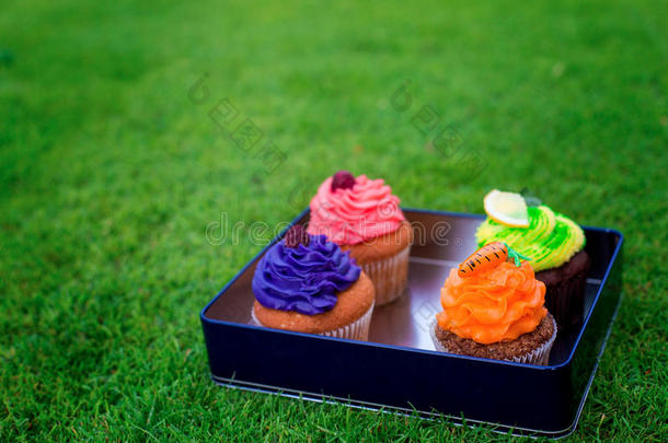美味，漂亮的蛋糕放在盒子里。 在单身派对上野餐