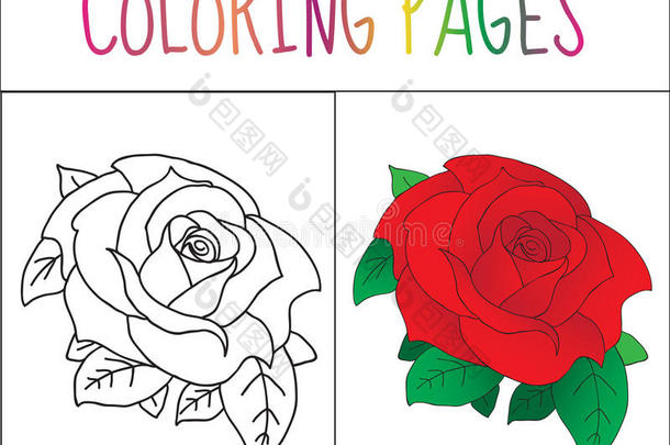 着色书页，玫瑰。 草图和颜色版本。 给孩子着色。 矢量插图