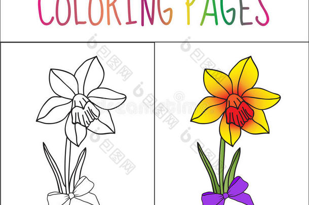 着色书页，花，虹膜。 草图和颜色版本。 给孩子着色。 矢量插图