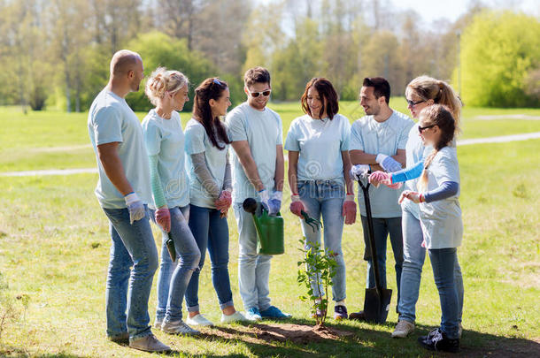 一群志愿者在公园植树