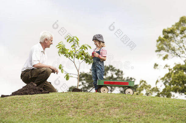 祖父和孩子一起在公园里植树