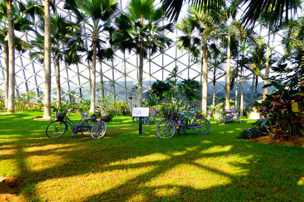 热带展览温室内的自行车