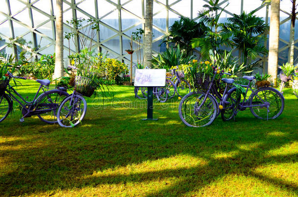 热带展览温室内的自行车