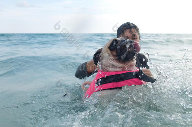 可爱的狗，小狗，巴格，<strong>恐惧</strong>和<strong>恐惧</strong>的水在海滩上游泳，KohKood，泰国。 （特拉特省库德岛）