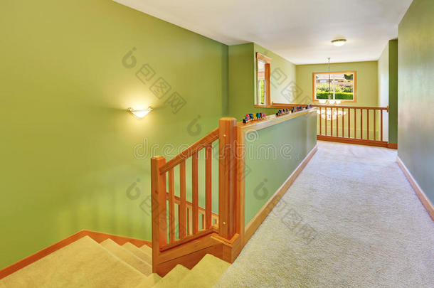 绿色走廊内部与地毯地板和楼梯。