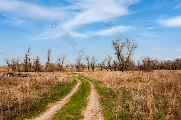 春天草地上的肮脏道路