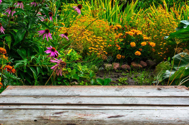 秋天花园和木桌桌背景模糊