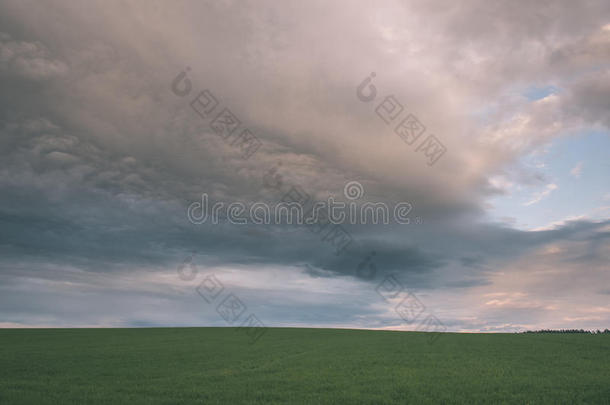 黑色风暴云覆盖草地与绿色草-复古的效果