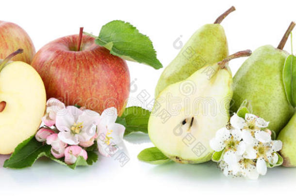 苹果和梨苹果梨红绿色水果片分离在w上