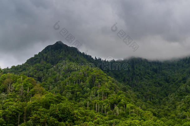 <strong>烟雾</strong>在<strong>烟雾</strong>中笼罩着明格斯山