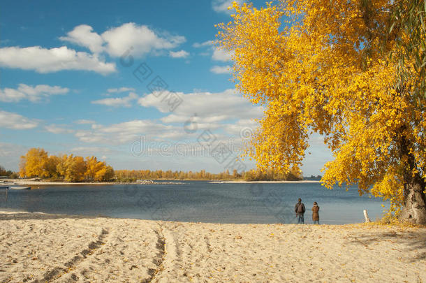 秋天阳光明媚的河滩景观