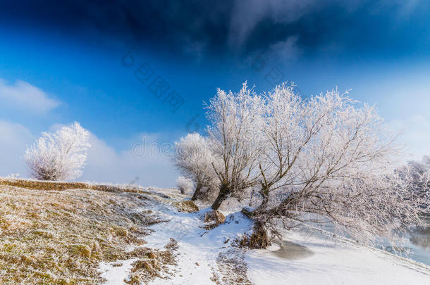 明亮的冬天风景，有冰冻的河流和树木