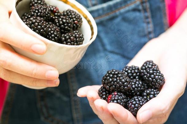 黑莓水果