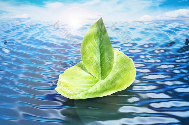 绿叶形成一艘漂浮在海平面上的船。 三维插图
