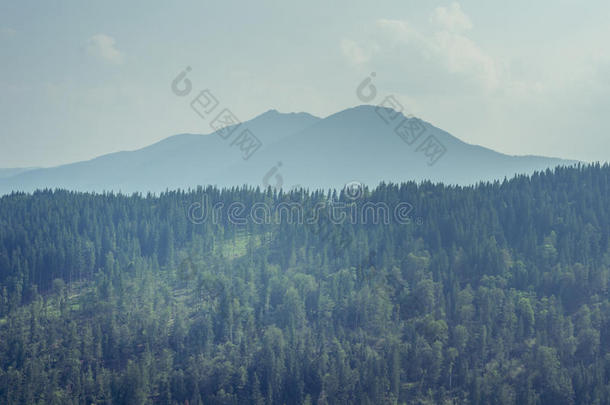 布科维纳山风景画