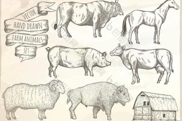 农场动物集合。