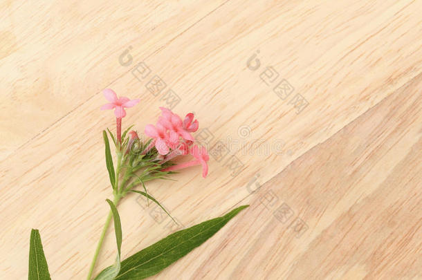 芬芳的粉红色巴拿马玫瑰在棕色的木制纸板上。 平躺sp