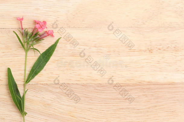 <strong>芬芳</strong>的粉红色巴拿马玫瑰在棕色纸板上。 平躺弹簧fl