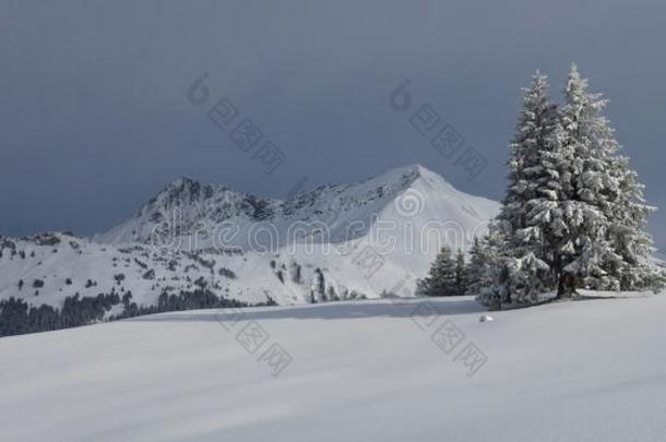 阿尔卑斯山背景伯尔尼语十二月目的地