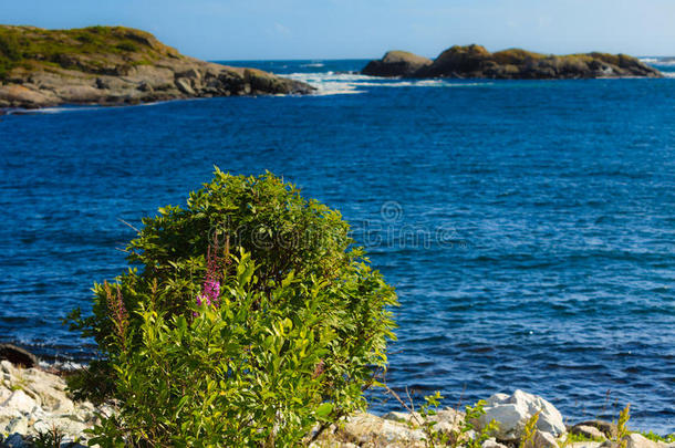 海岸沿海埃格森风景自然