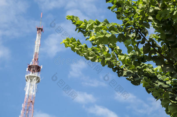 在绿树、蓝天背景下广播电视<strong>信号发射</strong>天线。