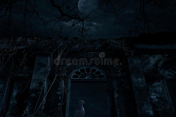 鸟坐在古窗古堡上的死树上，月亮一
